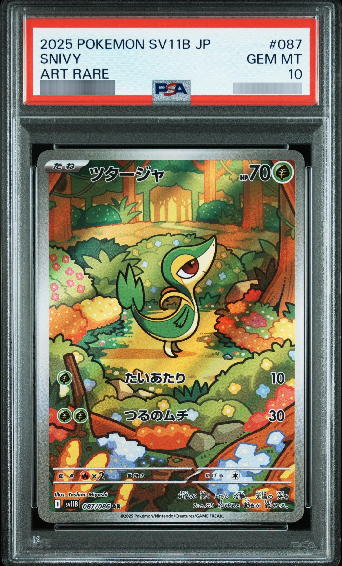 【PSA10】ツタージャ[SV11B] AR 087/086