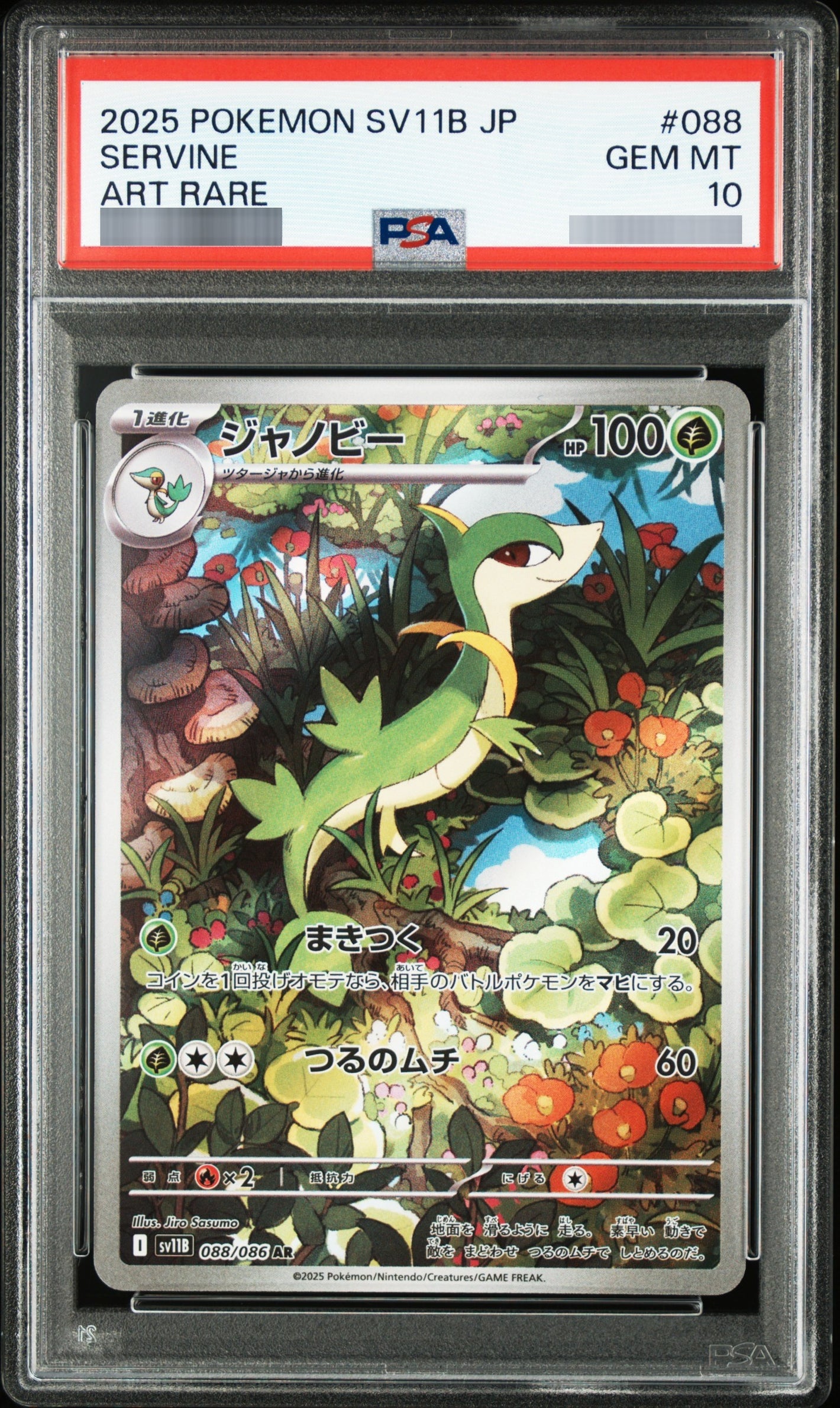 【PSA10】ジャノビー[SV11B] AR 088/086