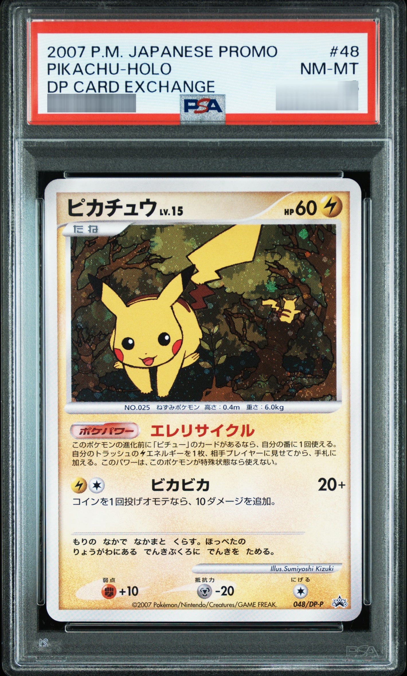 【PSA10】ピカチュウ[その他] P 048/DP-P