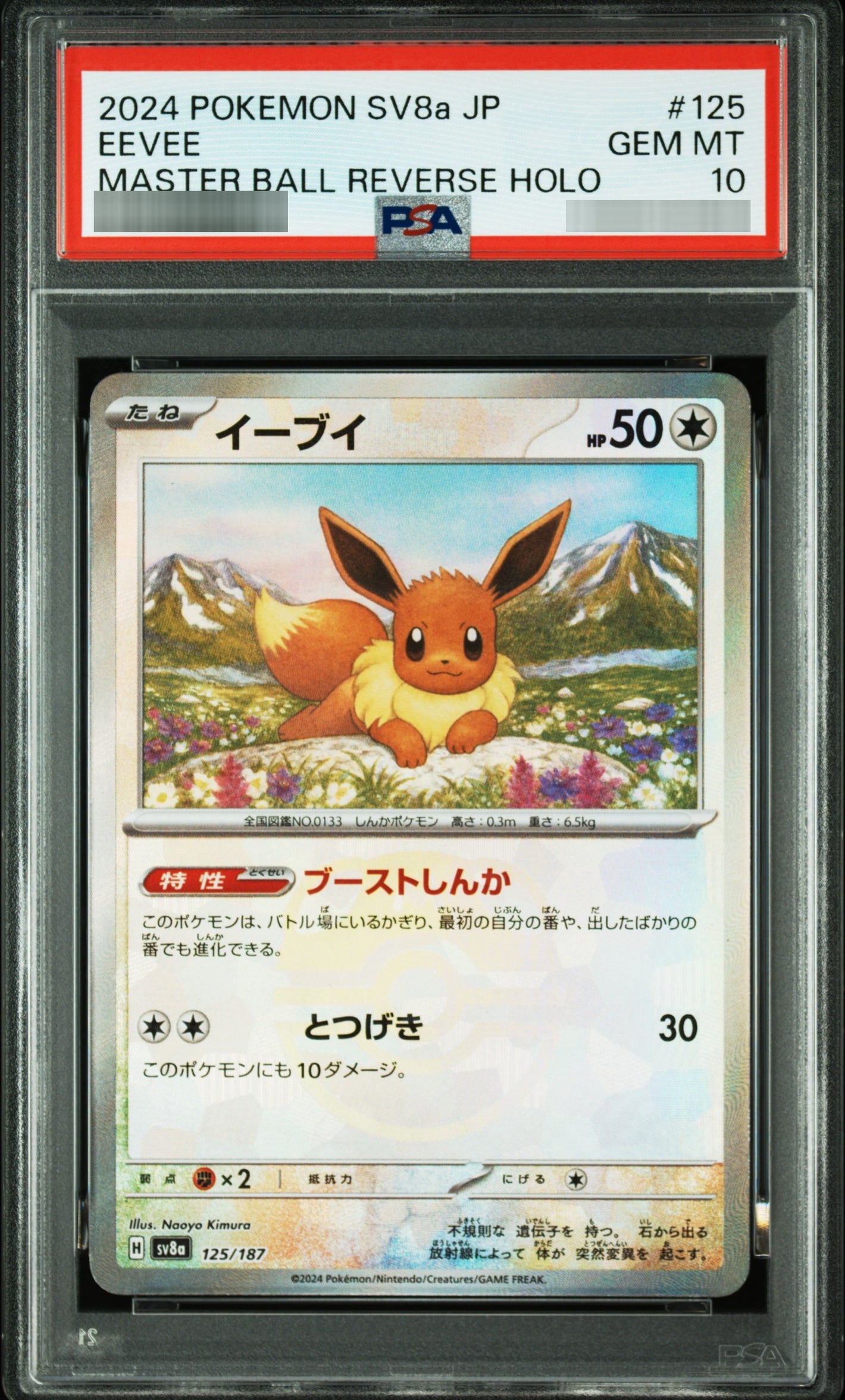 【PSA10】イーブイ(マスターボールミラー) - 125/187