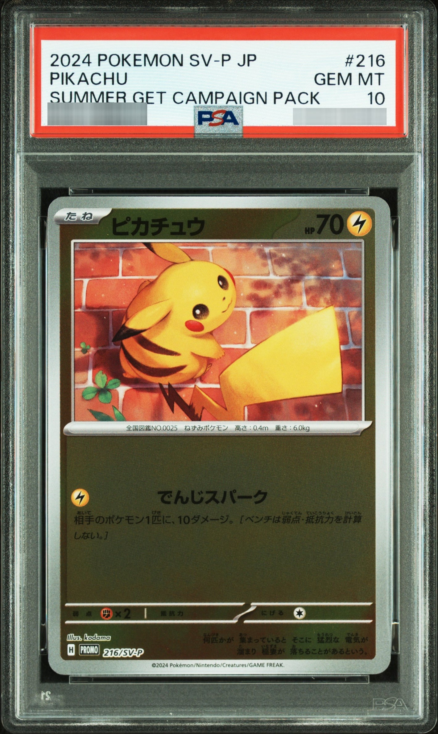 【PSA10】ピカチュウ P 216/SV-P
