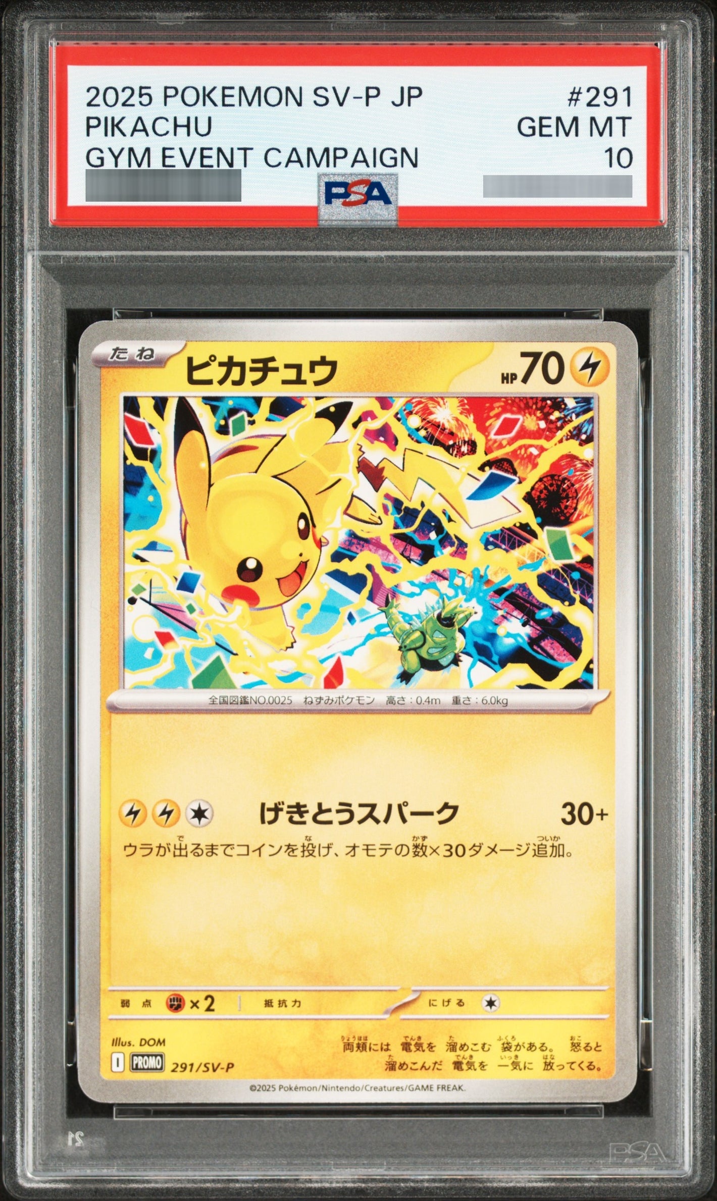 【PSA10】ピカチュウ(ジムプロモ2025) P 291/SV-P