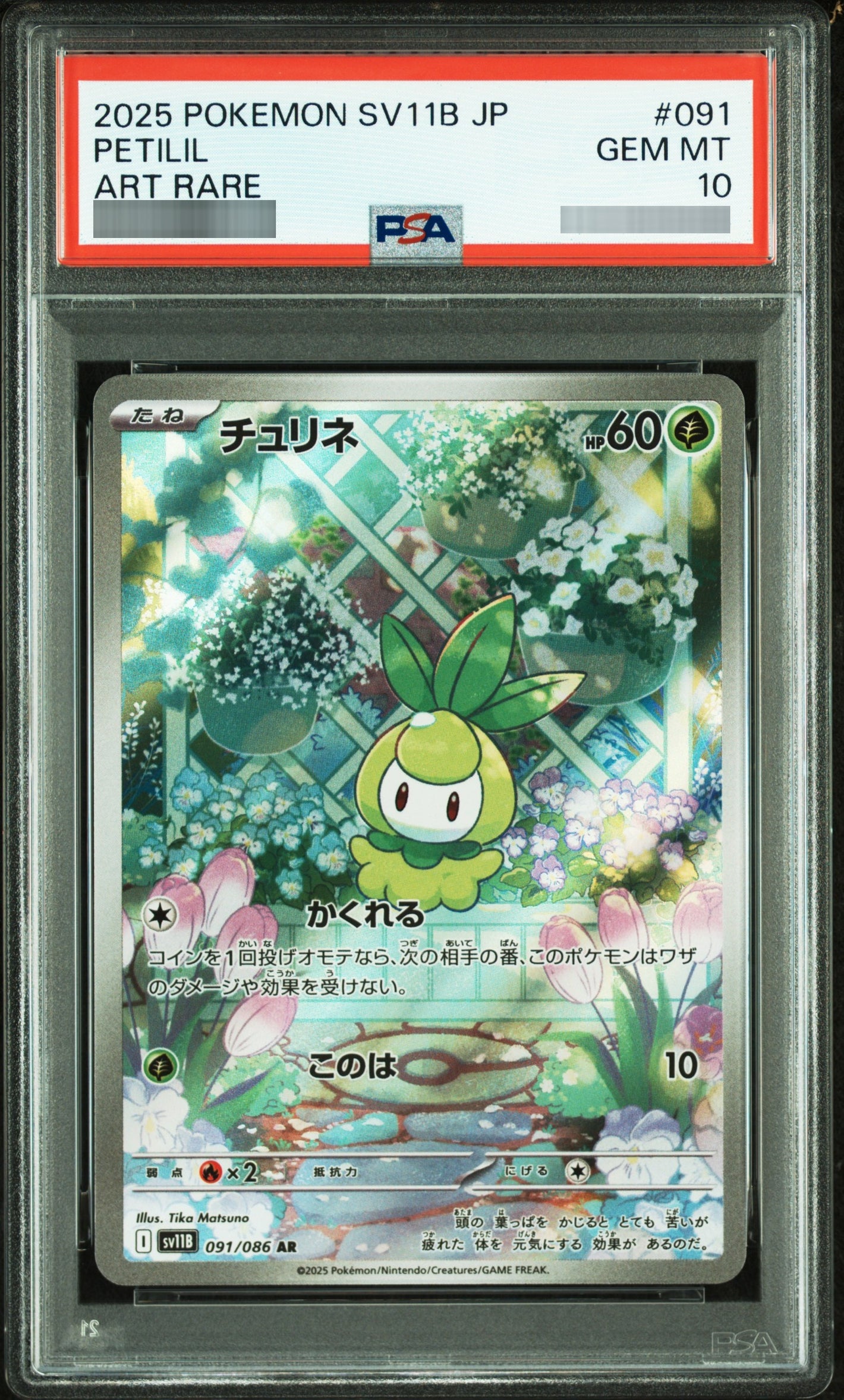 【PSA10】チュリネ[SV11B] AR 091/086