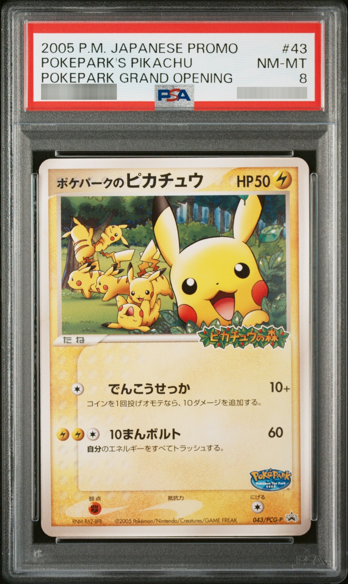 【PSA10】ポケパークのピカチュウ[その他] P 043/PCG-P