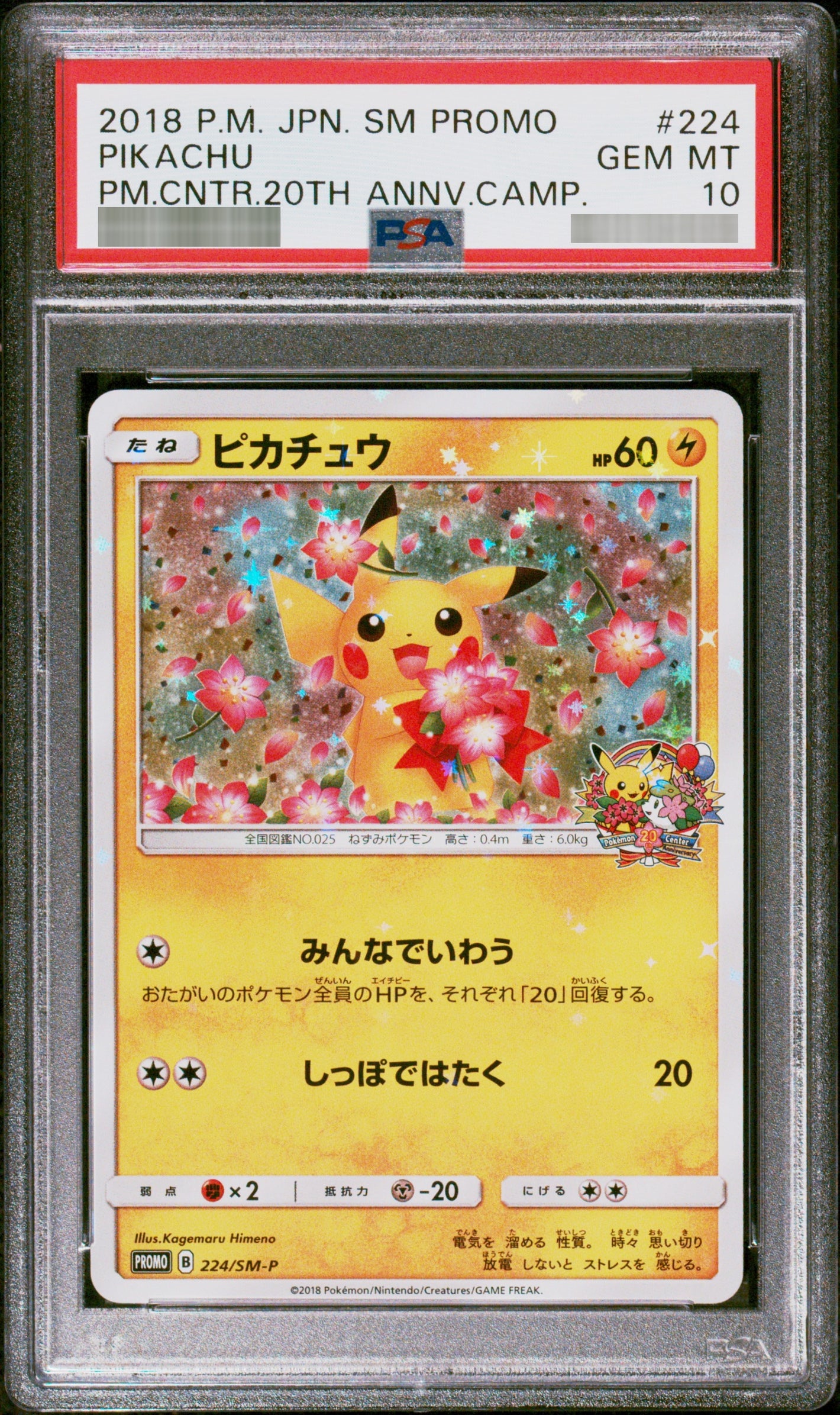 【PSA10】ピカチュウ P 224/SM-P