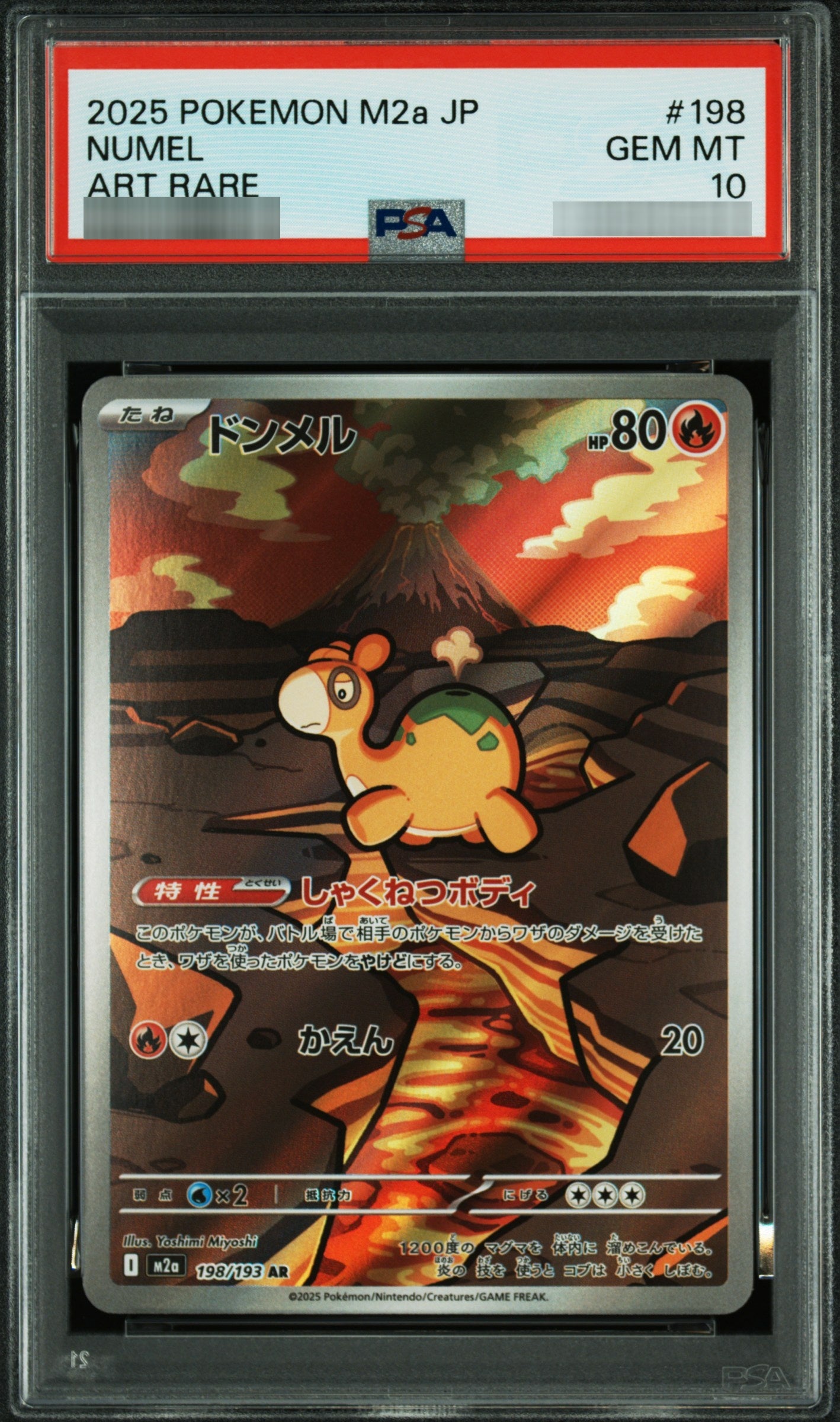 【PSA10】ドンメル[M2a] AR 198/193